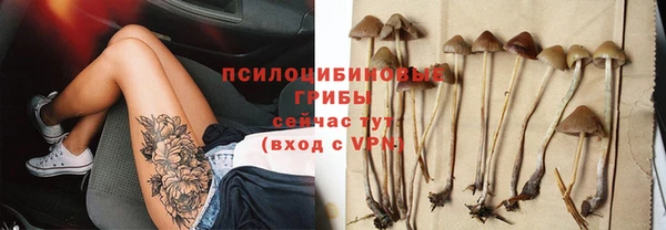 меф Горняк