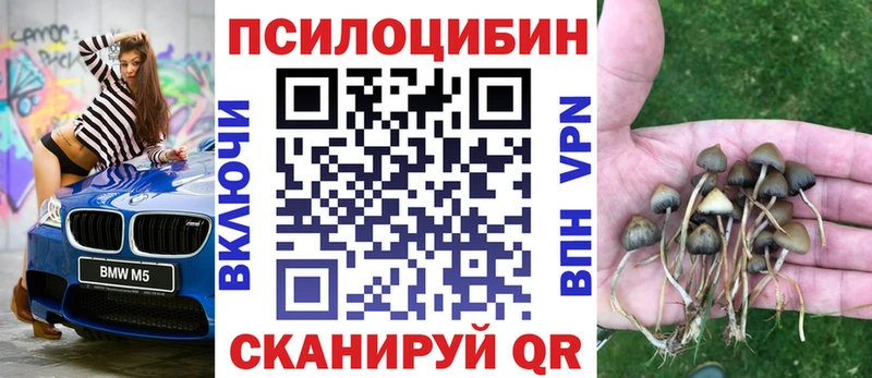 Галлюциногенные грибы Psilocybe Купить Буинск